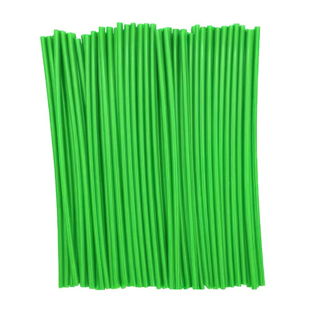 PAGILLAS PROTECTORAS PARA RAYOS DE RIN DE MOTO